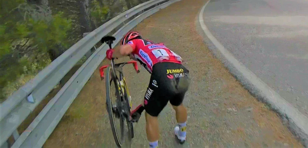 Primoz Roglic