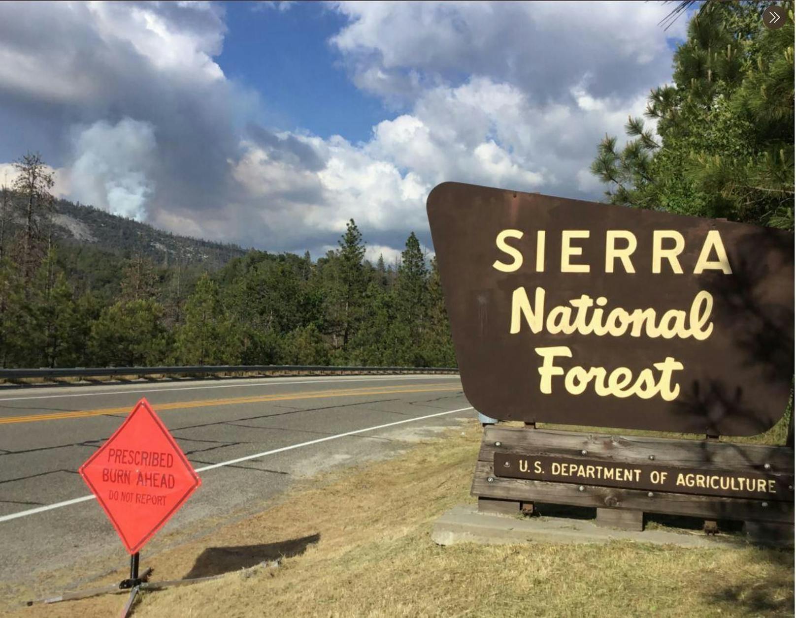 Eine dreiköpfige Familie ist im Sierra National Forest im Norden Kaliforniens tot aufgefunden worden.