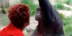Nach "Affäre" mit Affe – das sagt die verliebte Frau