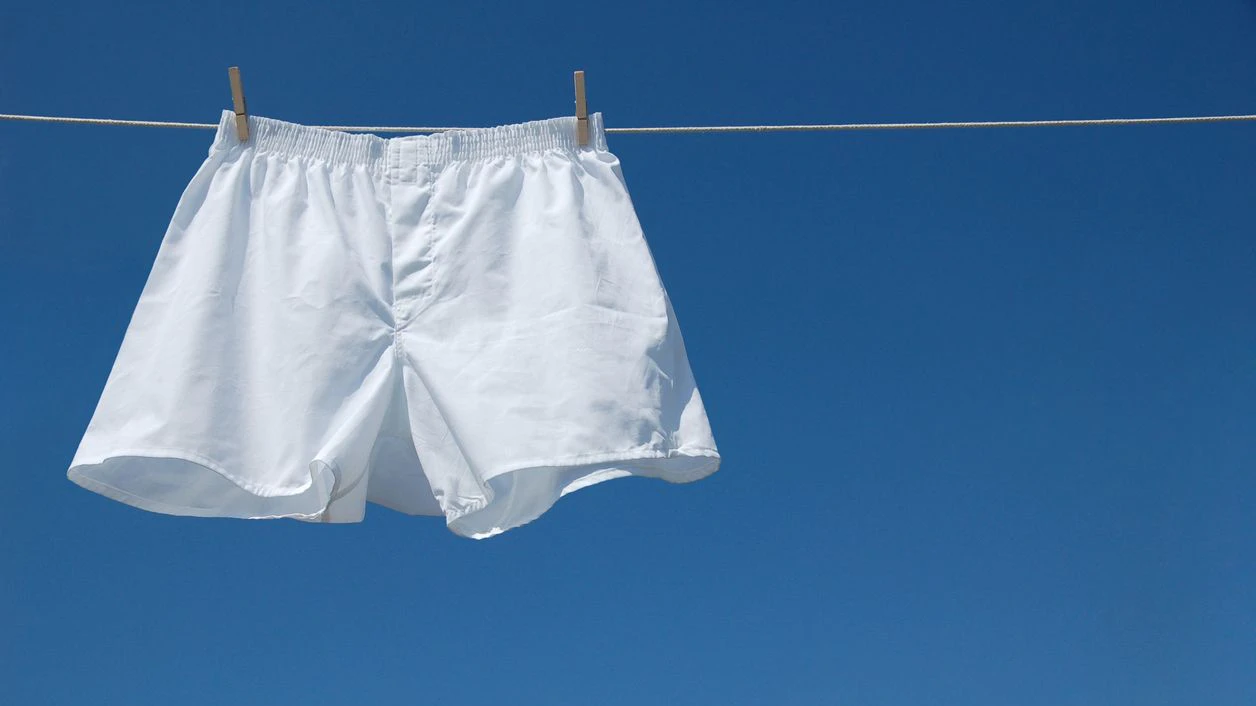 Heute.at - 2.000 Unterhosen vergraben: Was Forscher fanden