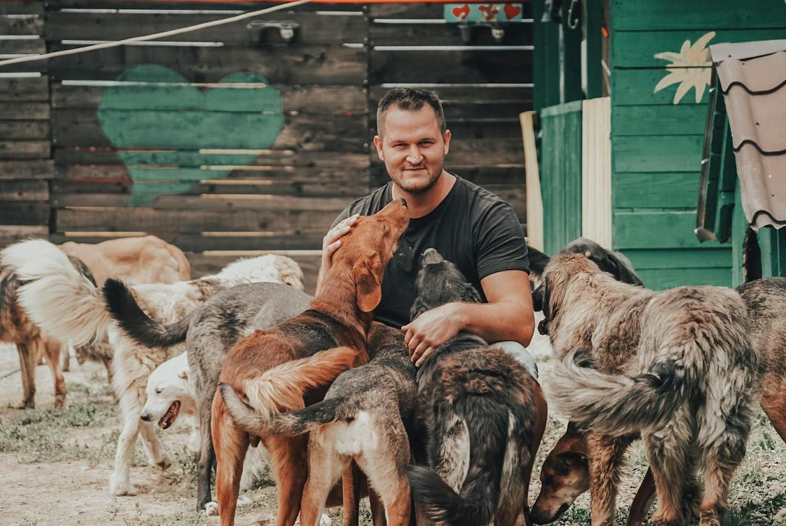 Michael Midzan rettet mit seiner Frau Amra und dem gemeinsam gegründeten Verein "Ein Herz für Hunde" gequälte und verwahrloste Hunde in der Stadt Bihac.
