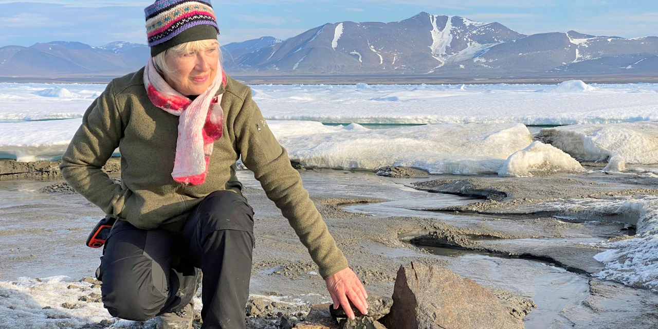 Forscher entdecken neue Insel, wo keine sein dürfte - Vimarsana News