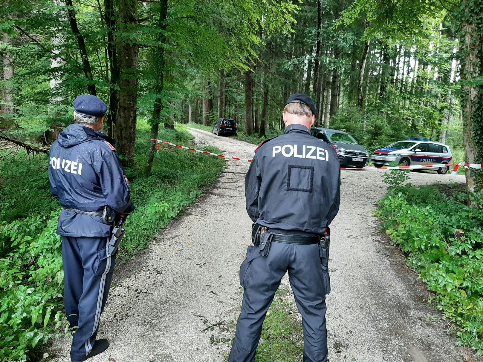 In einem Waldstück bei Großgmain am Salzburger Untersberg wurde am 28. August 2021 <a target="_blank" href="https://www.heute.at/g/polizeihund-entdeckt-frauenleiche-im-wald-100160074">eine Frauenleiche entdeckt</a>.