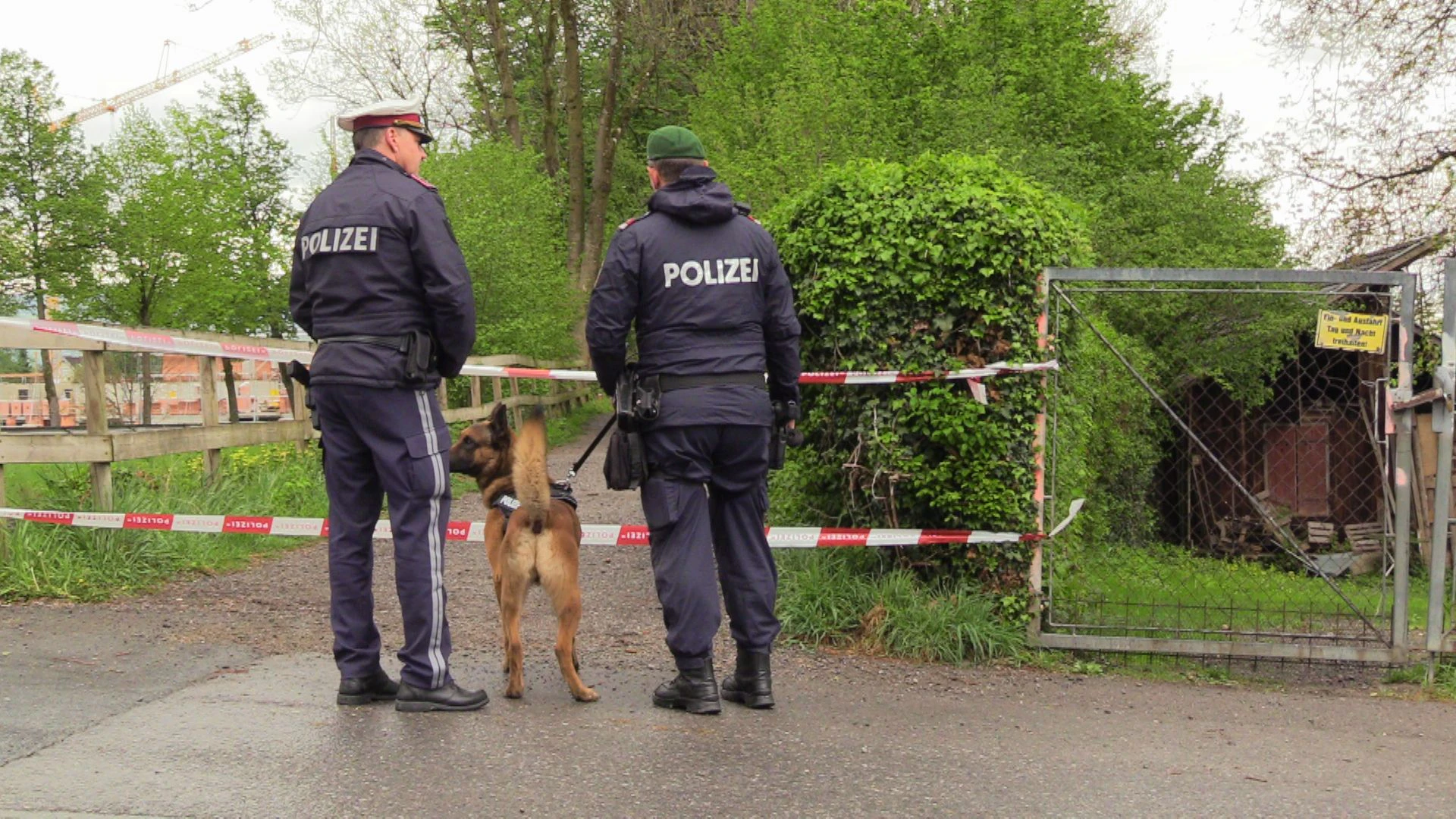 Polizisten in Dornbirn im Einsatz. Symbolfoto.