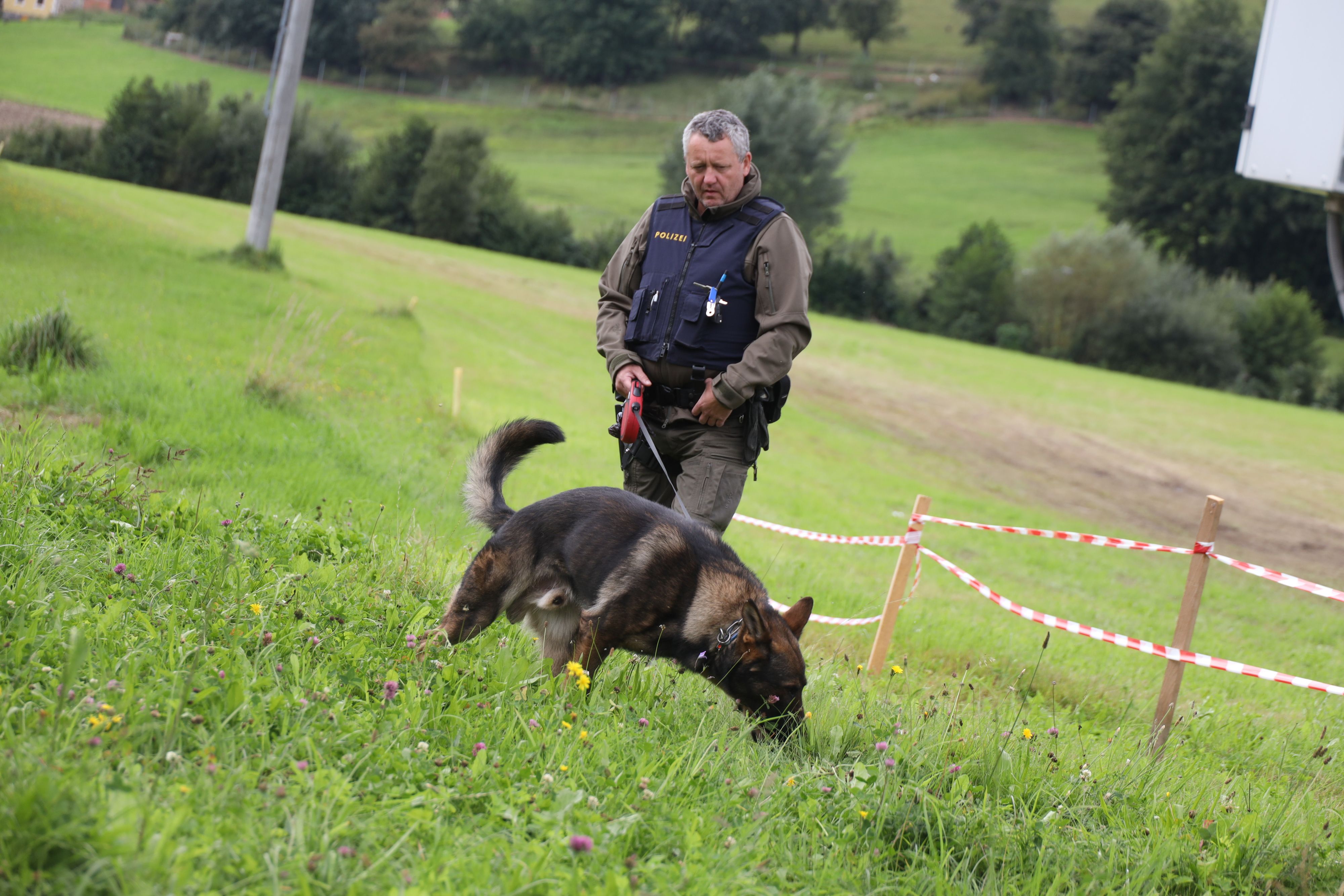 Nach einem Zeltfest wurde ein 16-Jähriger niedergestochen: Hier sucht die Polizei nach der Tatwaffe