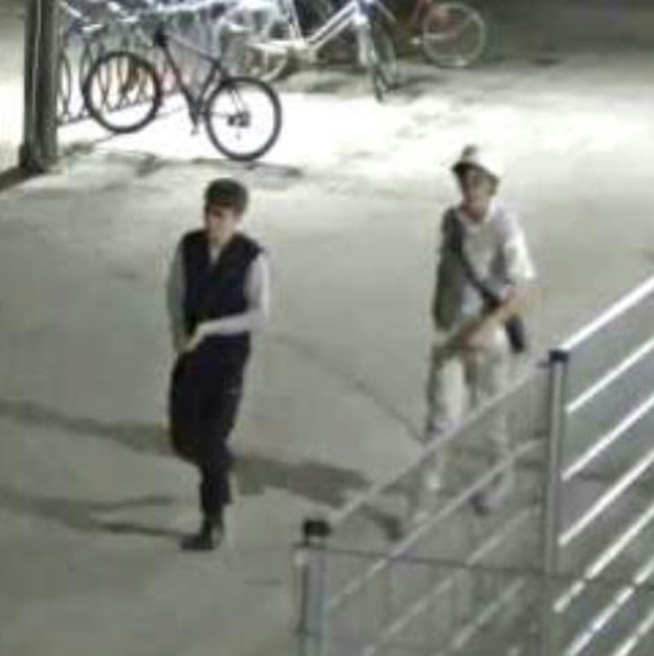 Heute.at - E-Scooter Diebe aus Felixdorf von Polizei gesucht