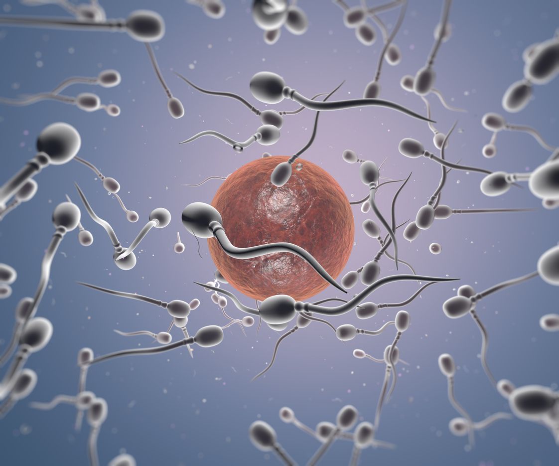 Sperm, floating to ovule - 3d rendered image
