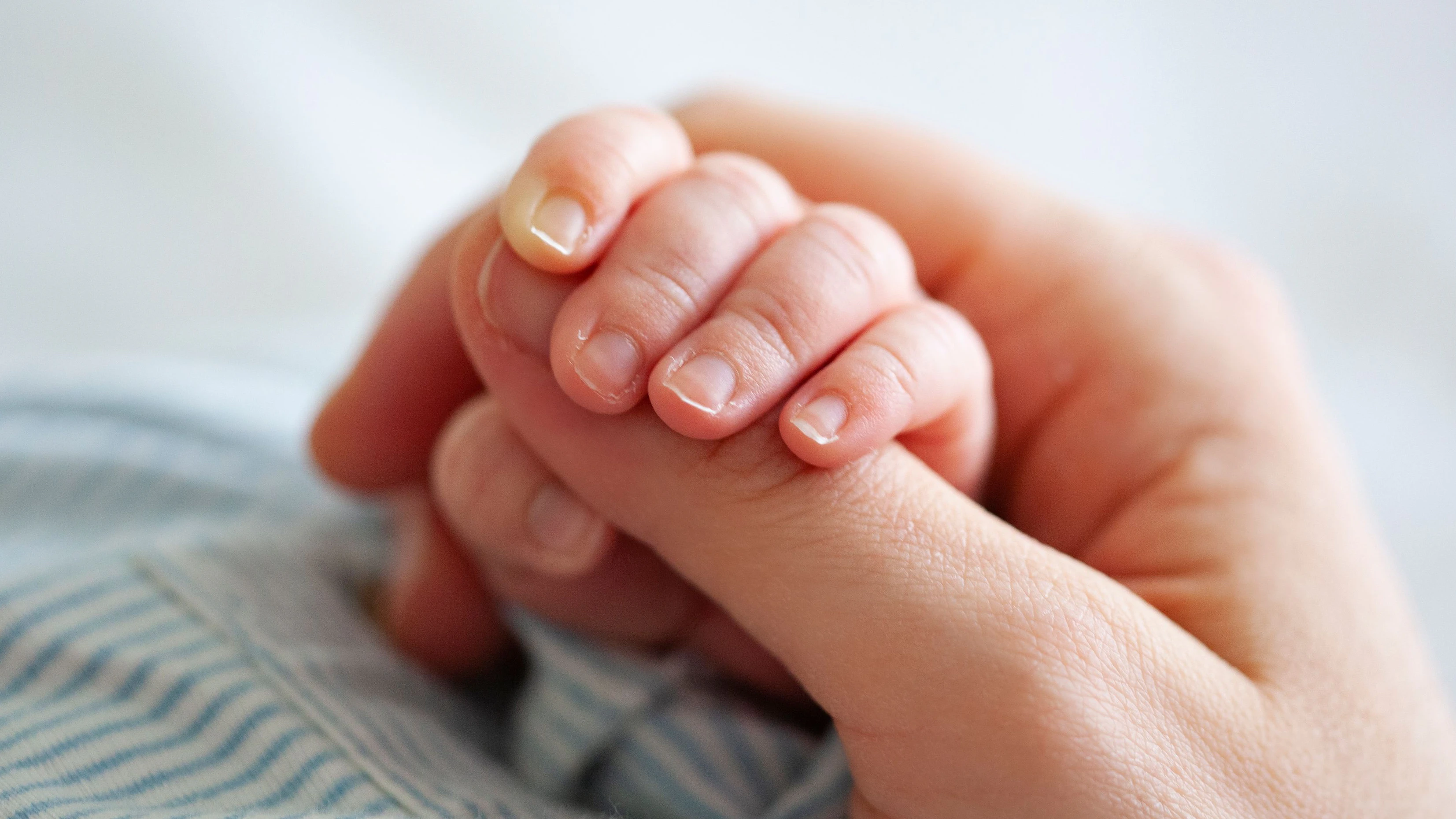Heute.at - Das wird kippen – jedes vierte Baby kein Österreicher