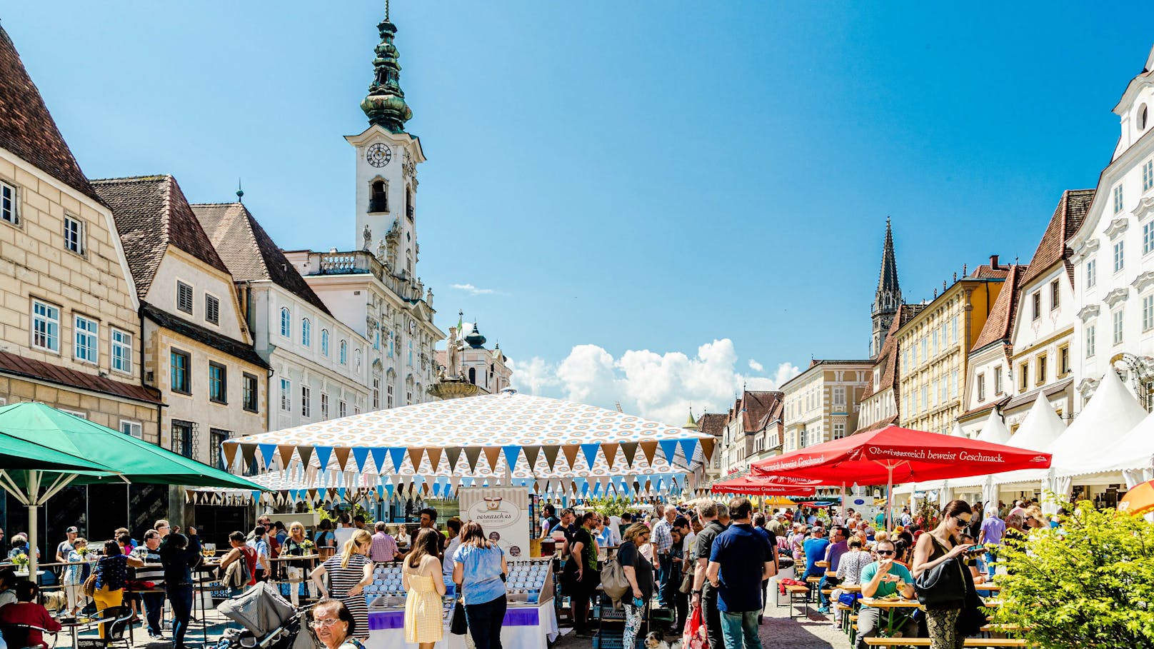 Das Genussfest in Steyr "Wild auf Most" lädt zum Gustieren ein.