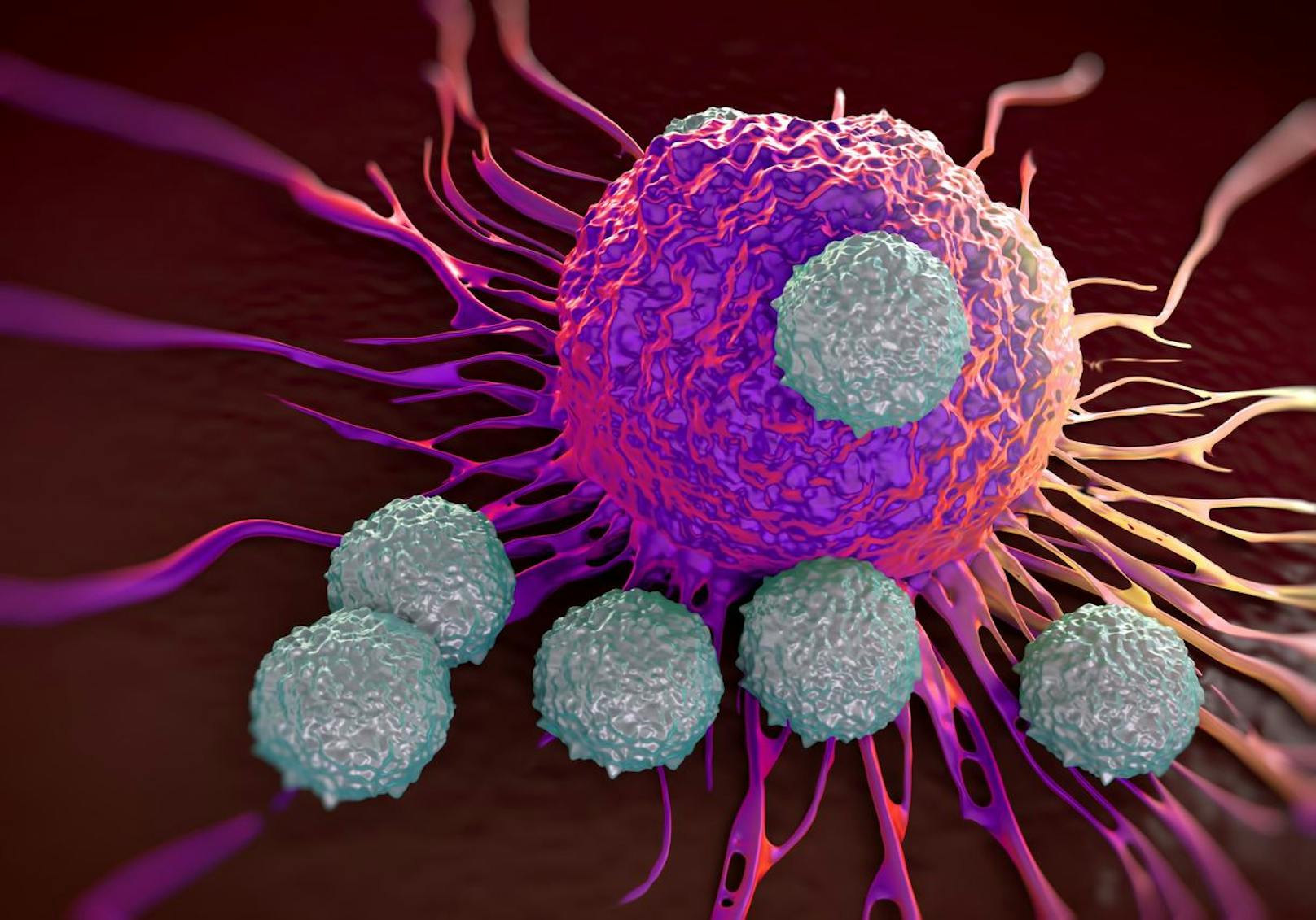  T-Zellen (grau) attackieren eine Krebszelle.