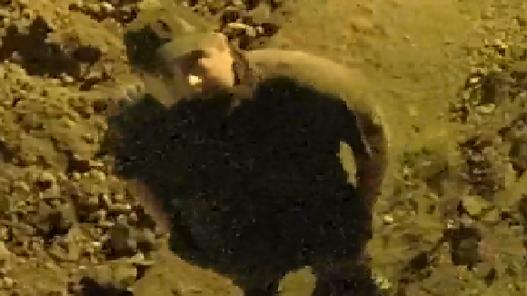 Der Toiletten-Dieb blickte direkt in eine Überwachungskamera.