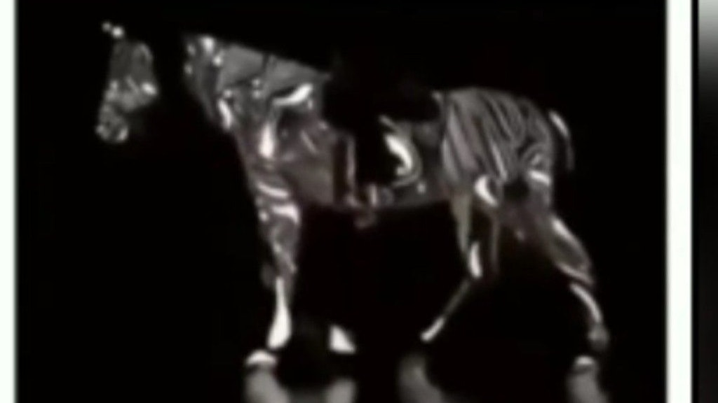 In welche Richtung läuft das Pferd?