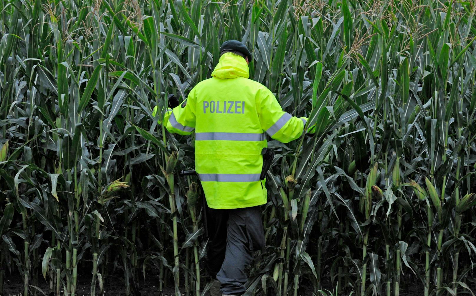 Im Burgenland gab es am Freitag eine Verfolgungsjagd. Sie führte sogar durch ein Maisfeld. (Symbolbild)