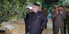 Kim Jong Greta: Nordkorea-Diktator jetzt Klimaschützer