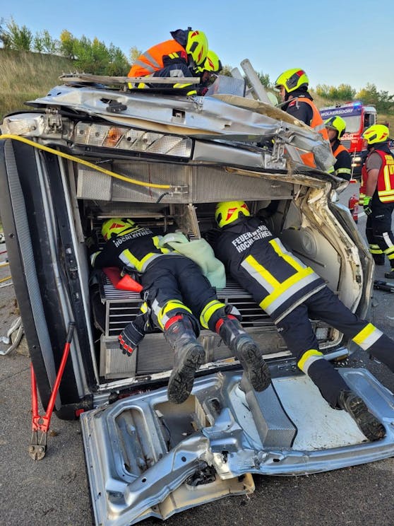 Bei dem Unfall wurden zwei Tiere und der Beifahrer verletzt.