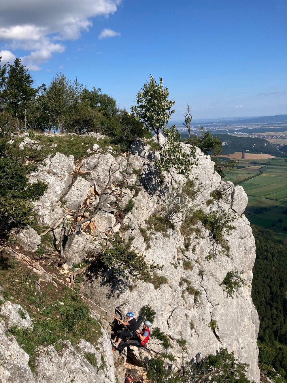 Die 75-Jährige verletzte sich an der Schulter.