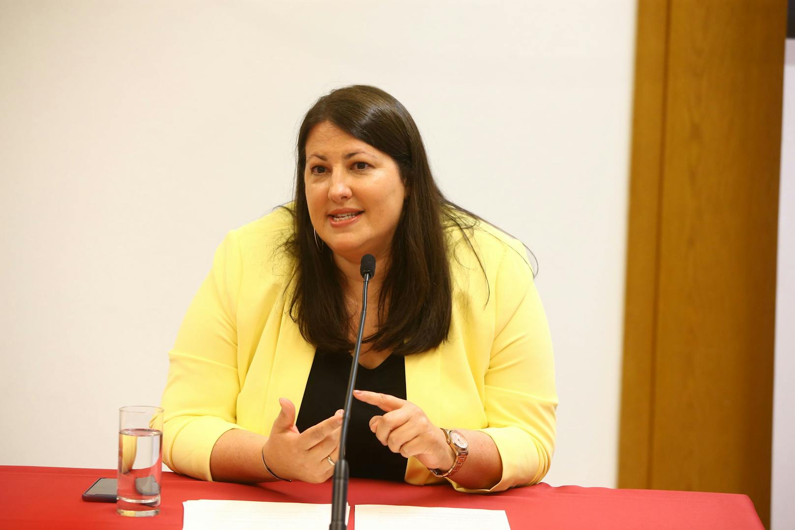 Vizebürgermeisterin und Frauenstadträtin Kathrin Gaal (SPÖ)