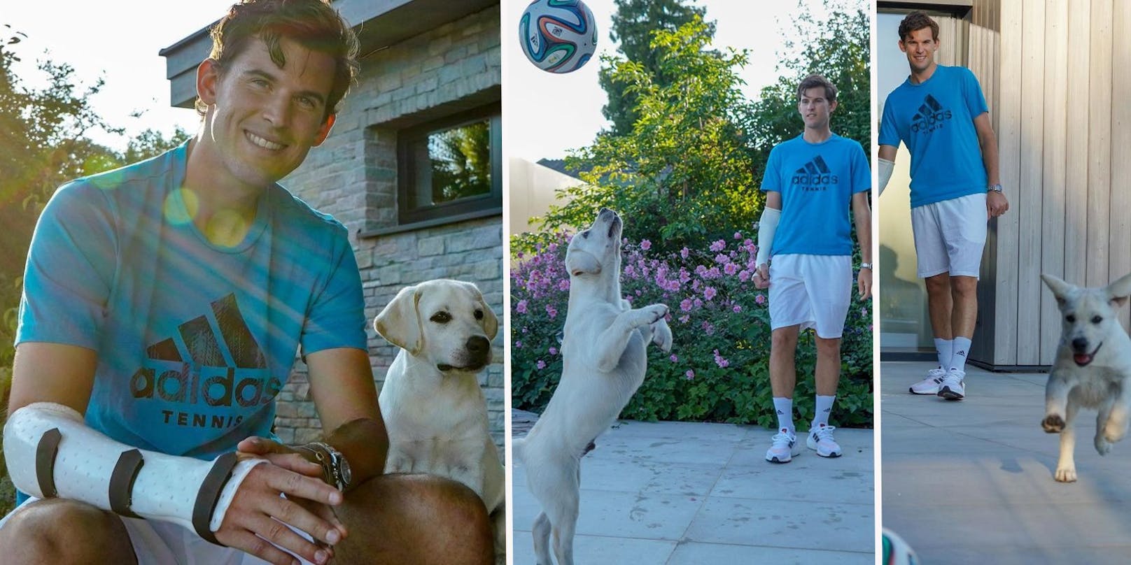 Tennis-Star Dominic Thiem hat einen neuen Hund. Der neue Gefährte teilt seine Leidenschaft für den Ball.