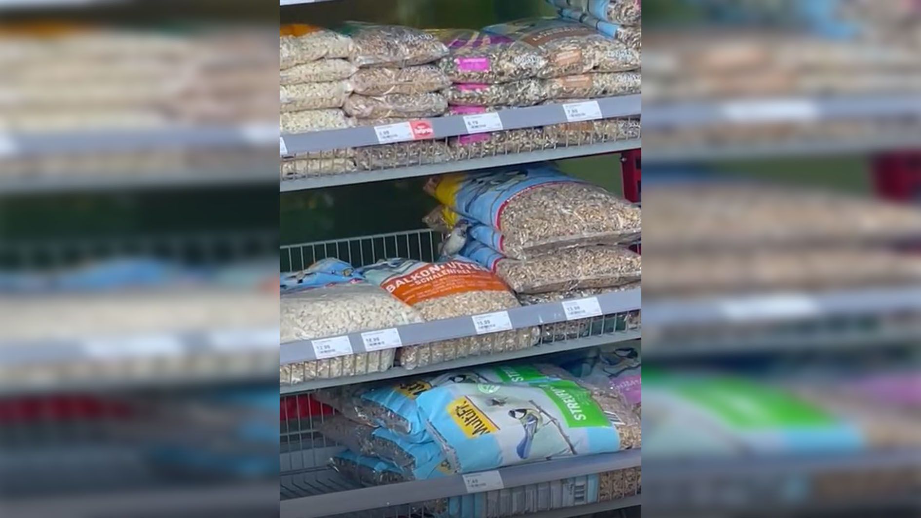 Da hat es einer faustdick hinter den Oh.. äh Schnabel 