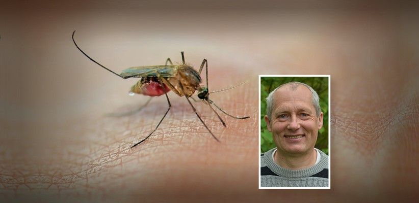 Insektenexperte Martin Schwarz, sprach mit "Heute" über die Gelsensituation in OÖ.