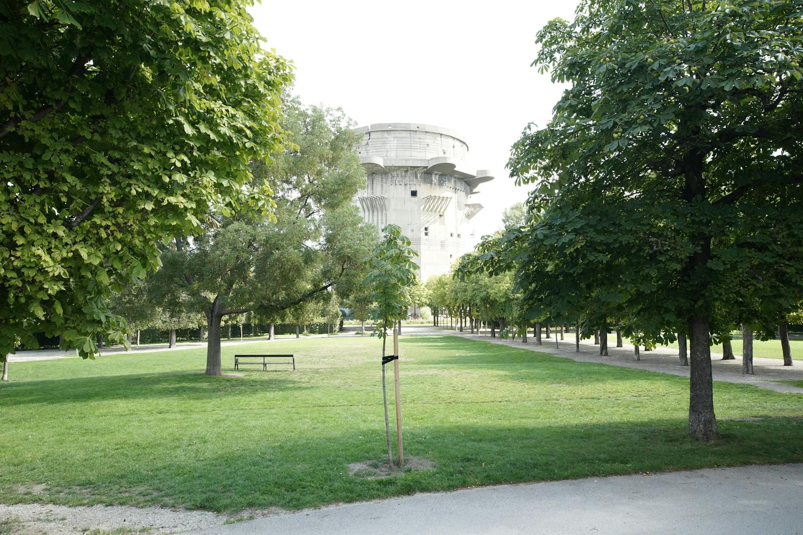 Der Augarten (Wien-Leopoldstadt) ist für viele Wiener ein Naherholungsgebiet. Die Grünen befürchten massive Baumfällungen, damit eine Eventzone gebaut werden kann. Die Petition "Rettet den Augarten" soll das verhindern.