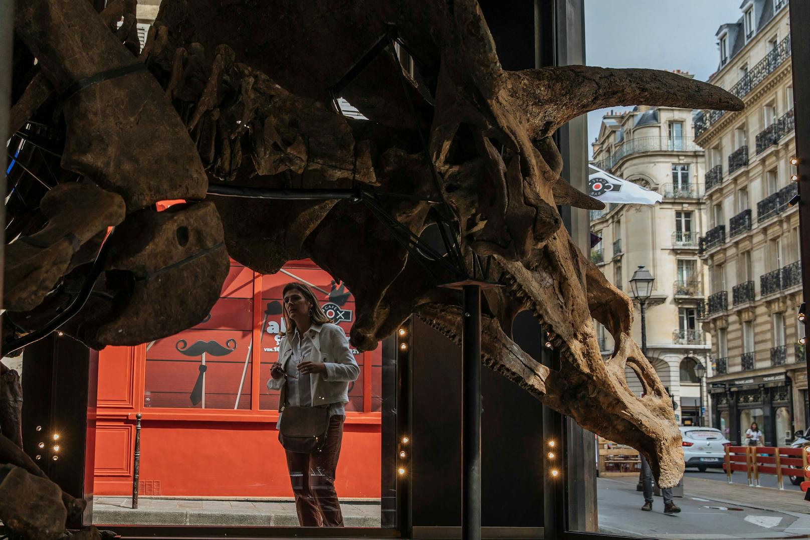 Derzeit kann der größte je gefundene Triceratops noch im Pariser Stadtviertel Marais bewundert werden.