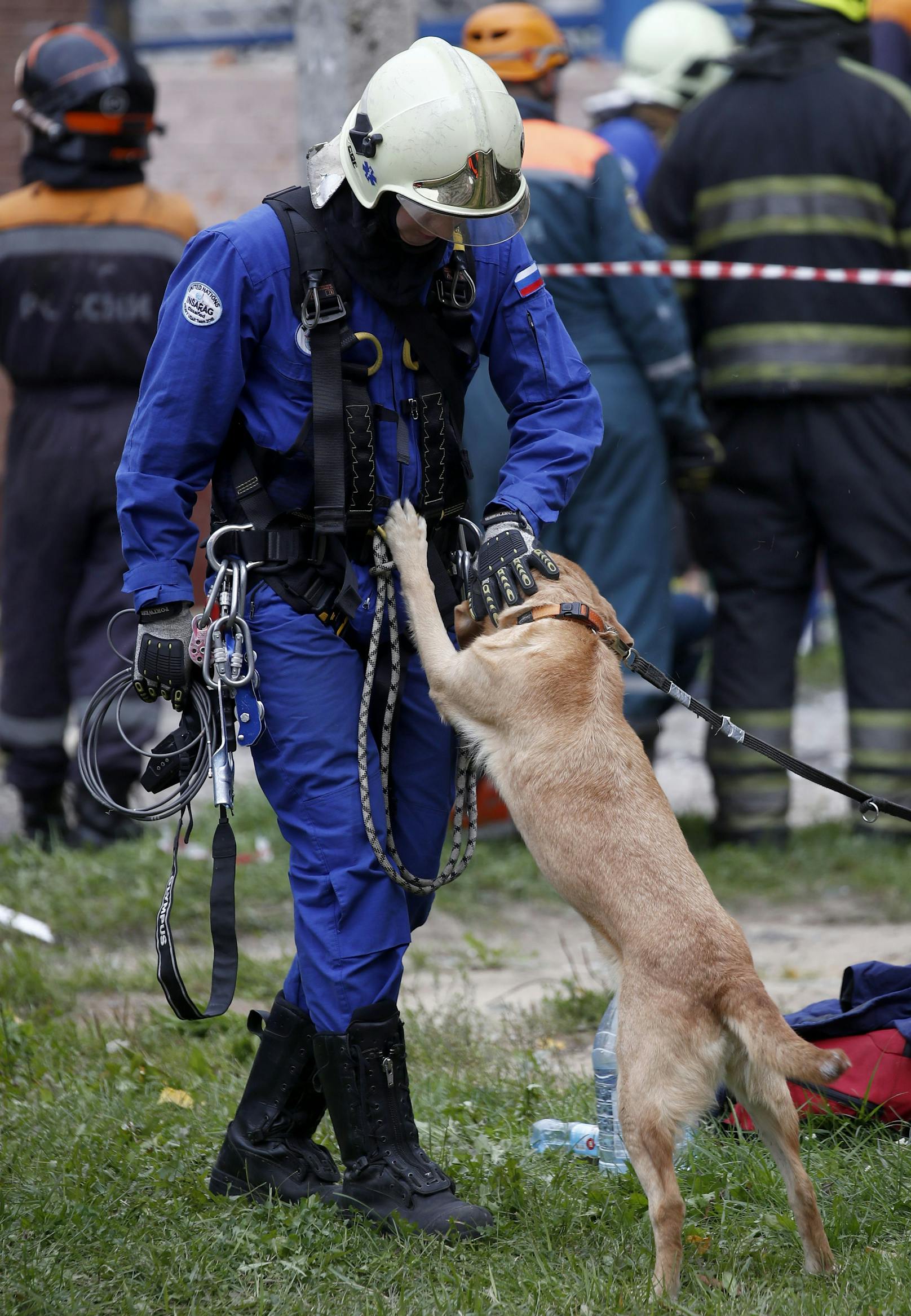Die Einsatzkräfte setzten auch Hunde auf der Suche nach Verletzten ein.&nbsp;