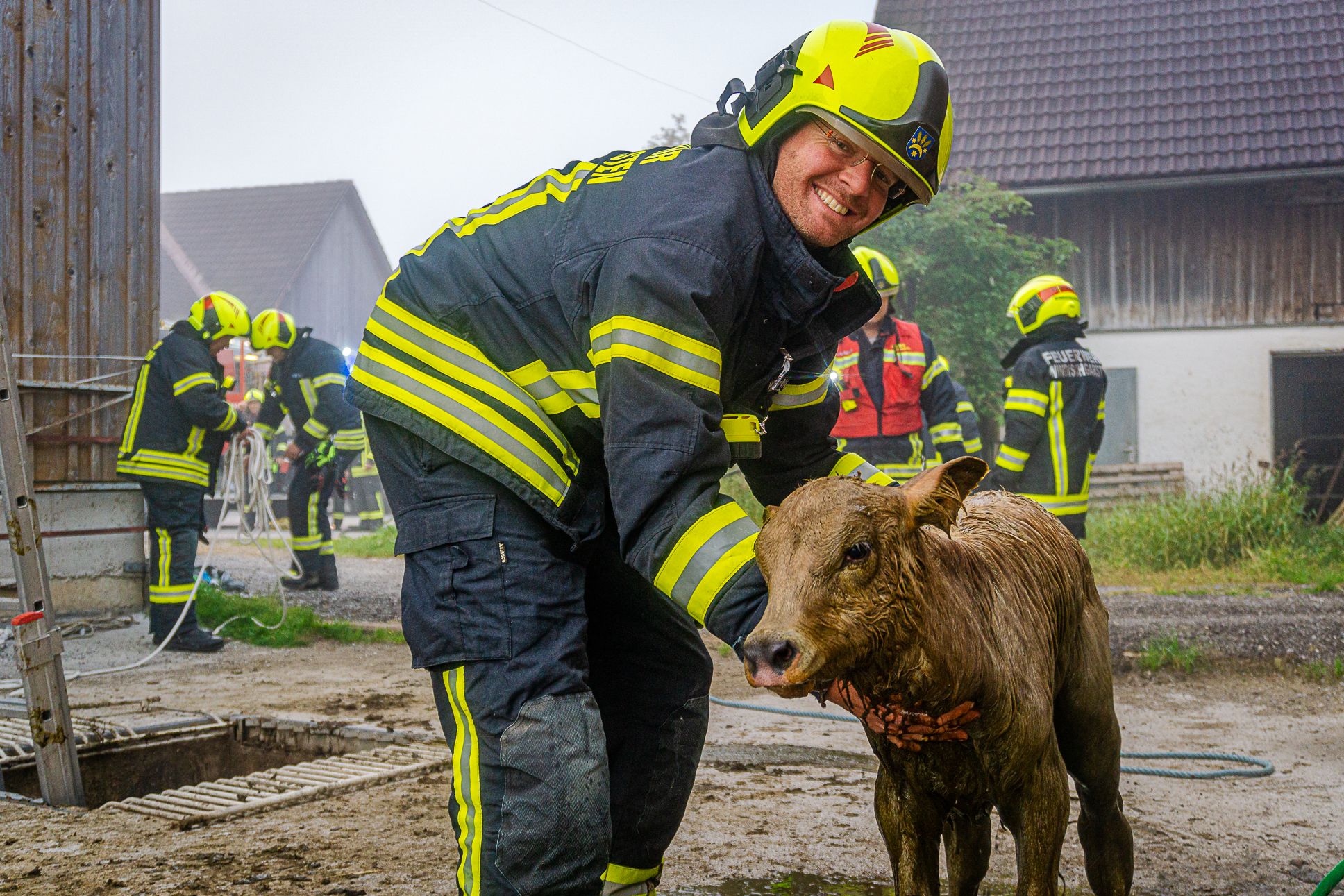 Kalb "Flora" wurde von Feuerwehrmännern aus einer Jauchegrube gerettet.