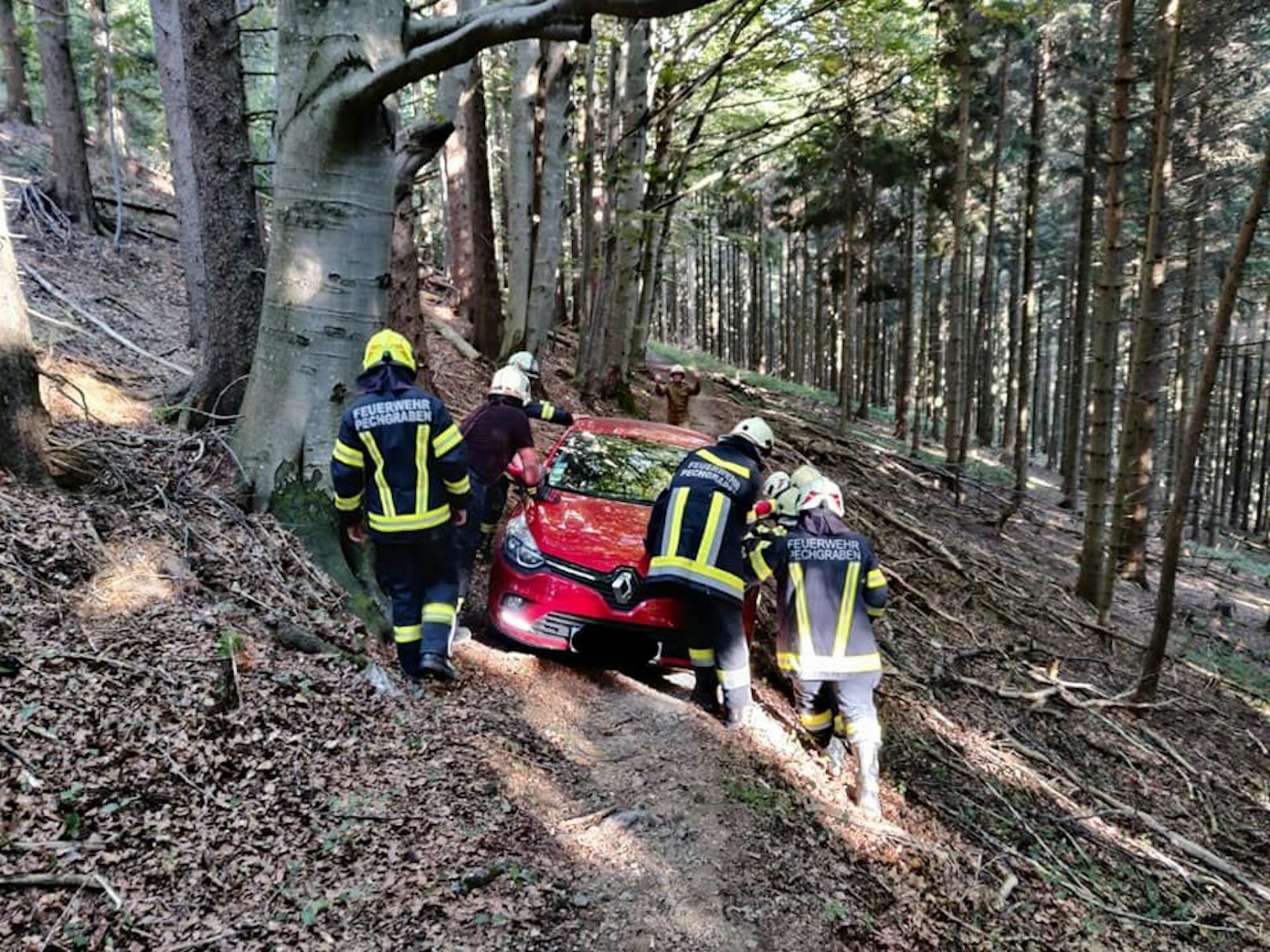 Das Navi lotste den 73-Jährigen in den Wald, dort blieb er mit dem Auto hängen, das über den Hang abzustürzen drohte.