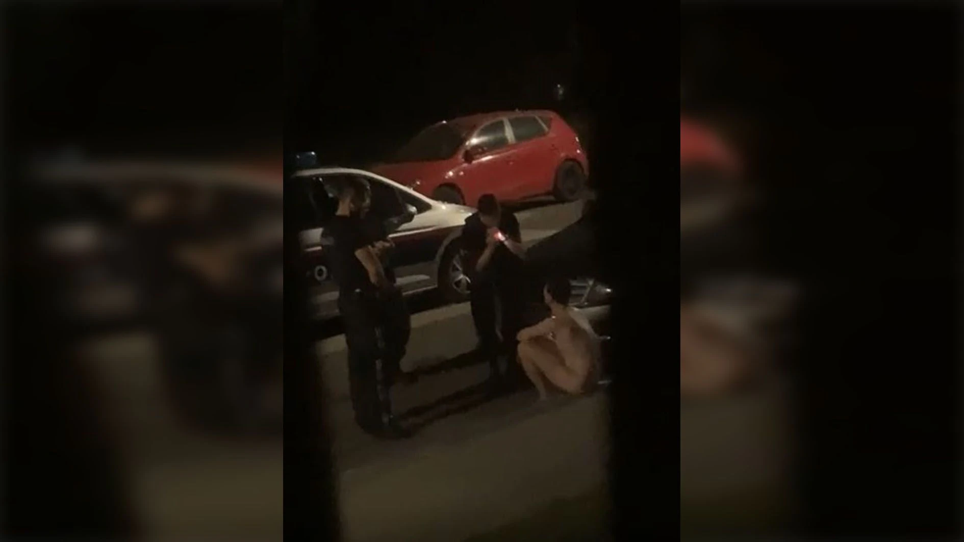 Die Linzer Polizei konnte den Nackten gegen Mitternacht schließlich fassen
