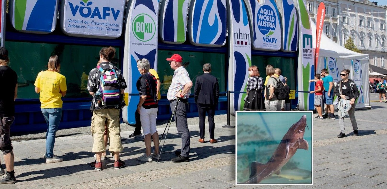 Das größte mobile Aquarium der Welt steht am Linzer Hauptplatz.
