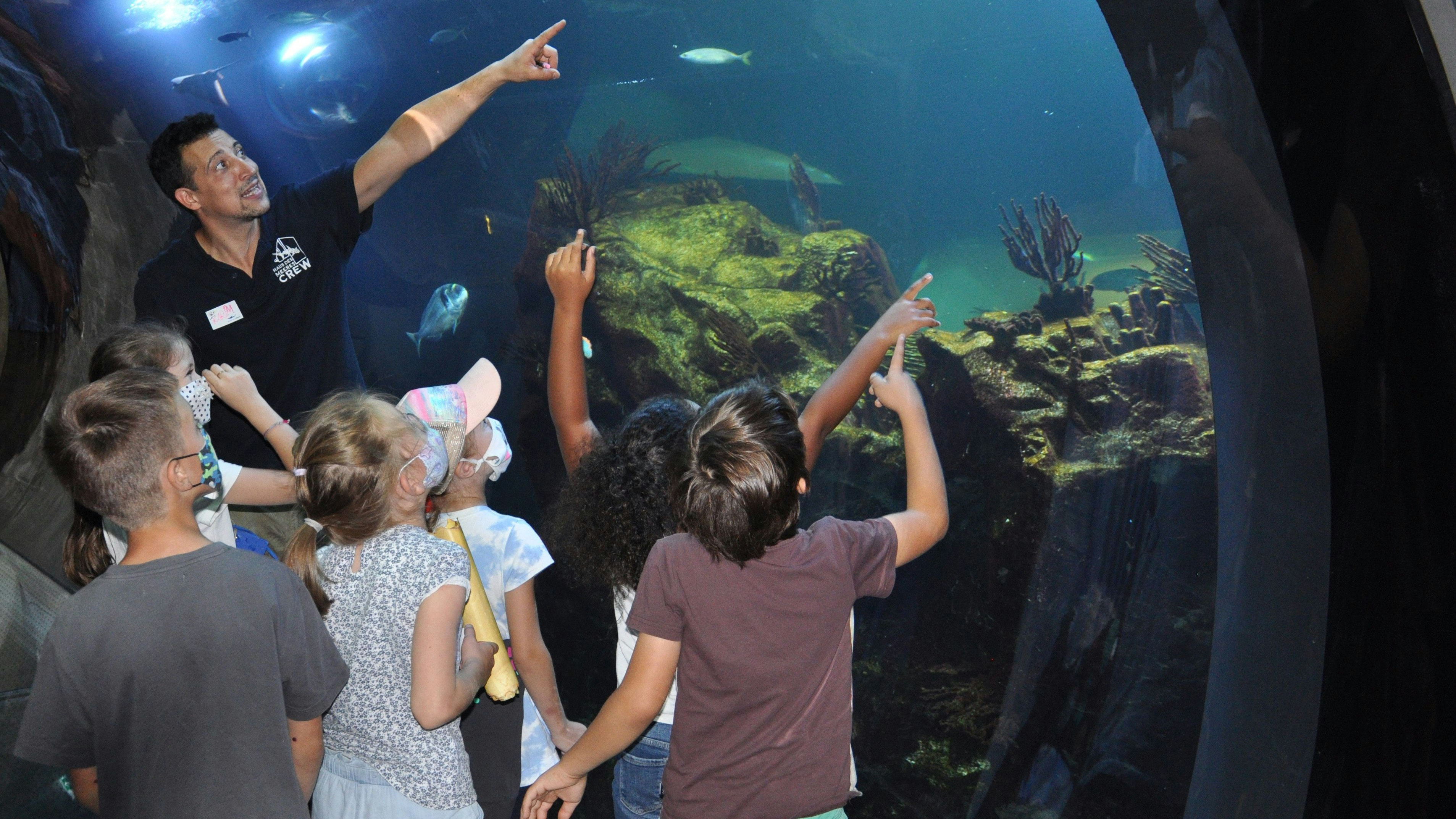 Nach eineinhalb Jahren coronabedingter Pause, darf das Haus des Meeres nun wieder die beliebten Kindergeburtstage anbieten. 