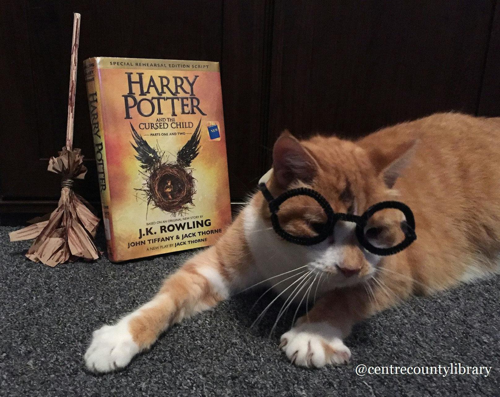 Als Harry Potter macht Horatio einen sehr glaubwürdigen Eindruck, oder? 