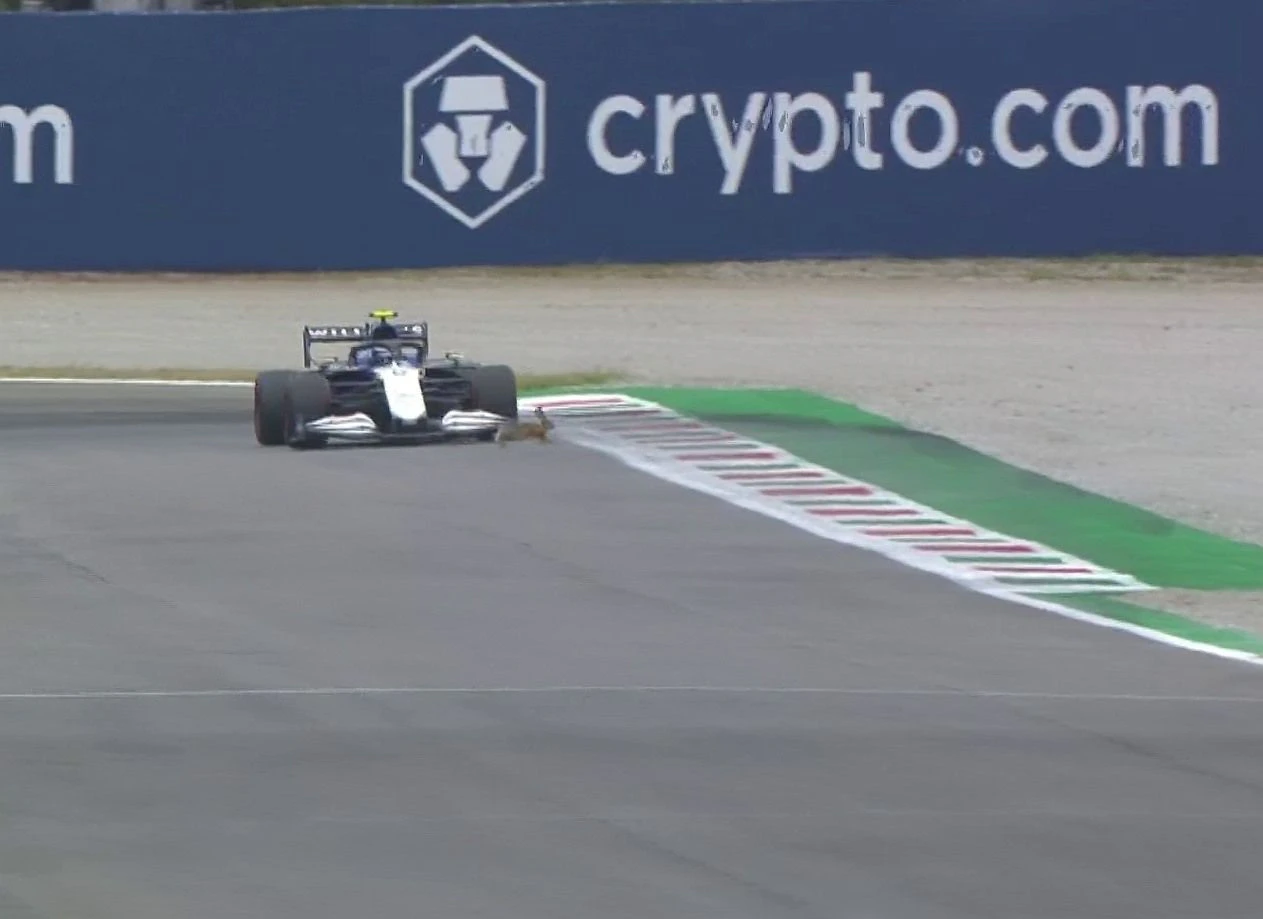 Nicholas Latifi verfehlte den Hasen nur knapp. 