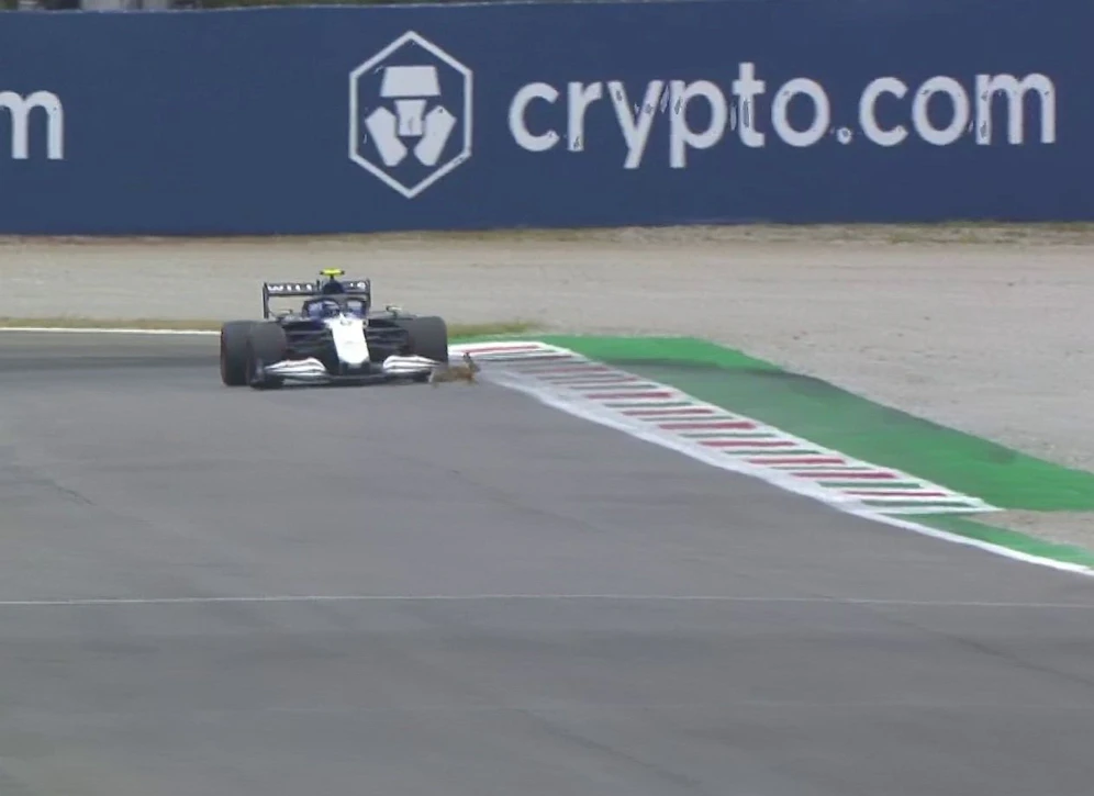 Nicholas Latifi verfehlte den Hasen nur knapp. 