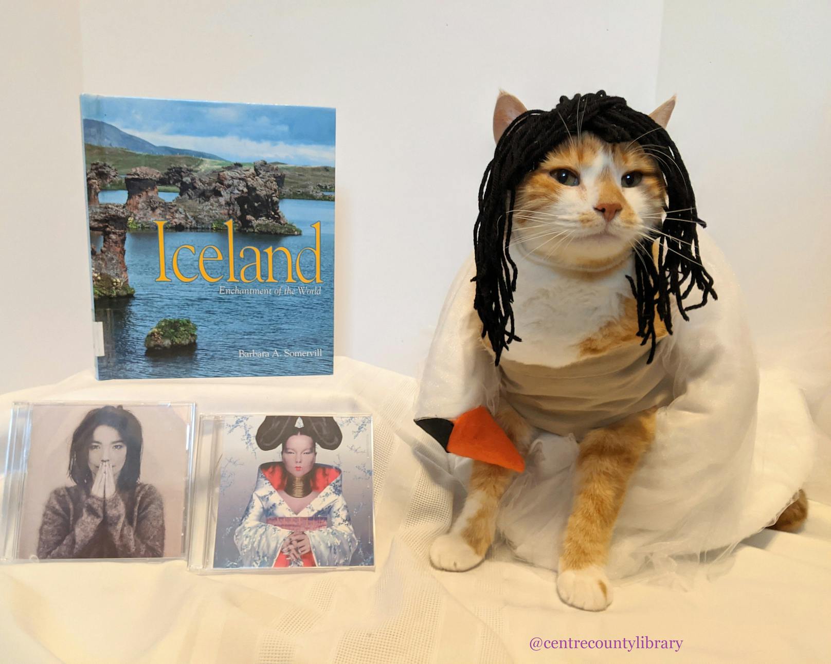 Als Sängerin und Künstlerin "Björk". 