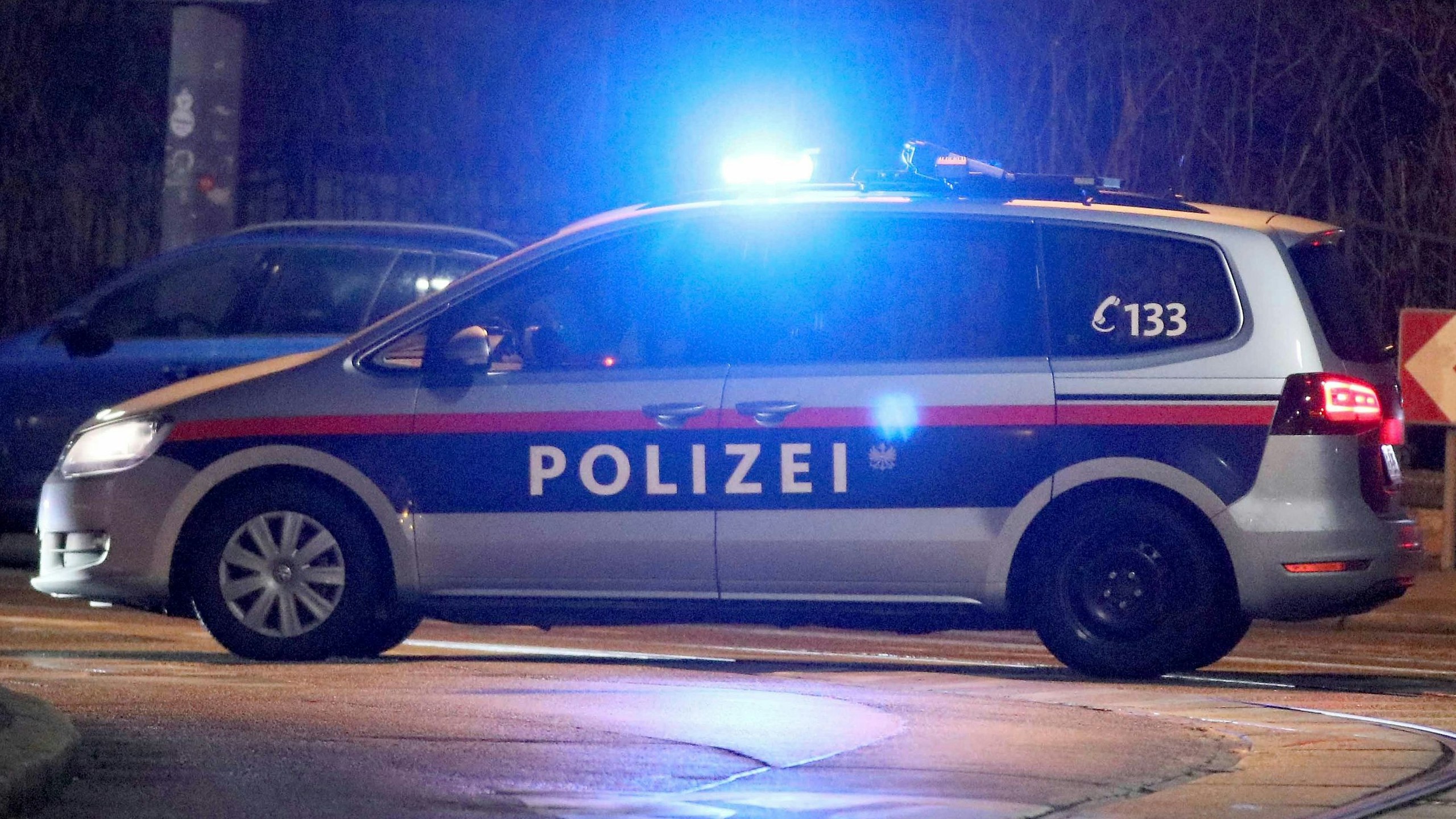Die Polizei nahm den 28-jährigen Sohn fest (Symbolbild).