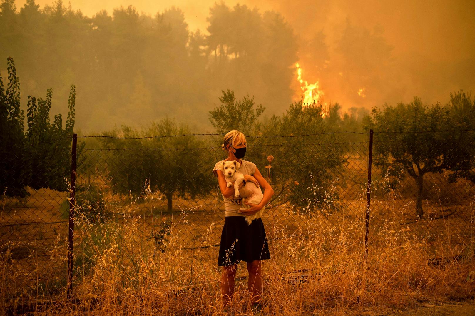 Griechenland. Eine Frau rettet einen Hund vor den Flammen. Wochenlang kämpft Südeuropa gegen verheerende Brände, die Experten mit dem Klimawandel in Verbindung bringen.<br>