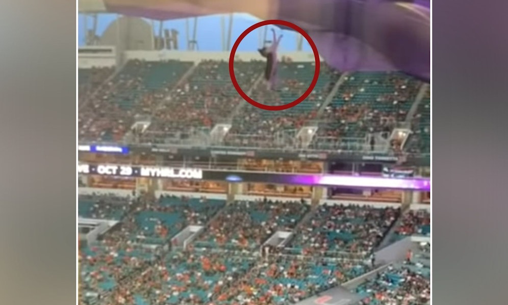 Ein Kätzchen hatte sich in eine lebensgefährliche Situation manövriert - alles vor den Augen des Publikums im 