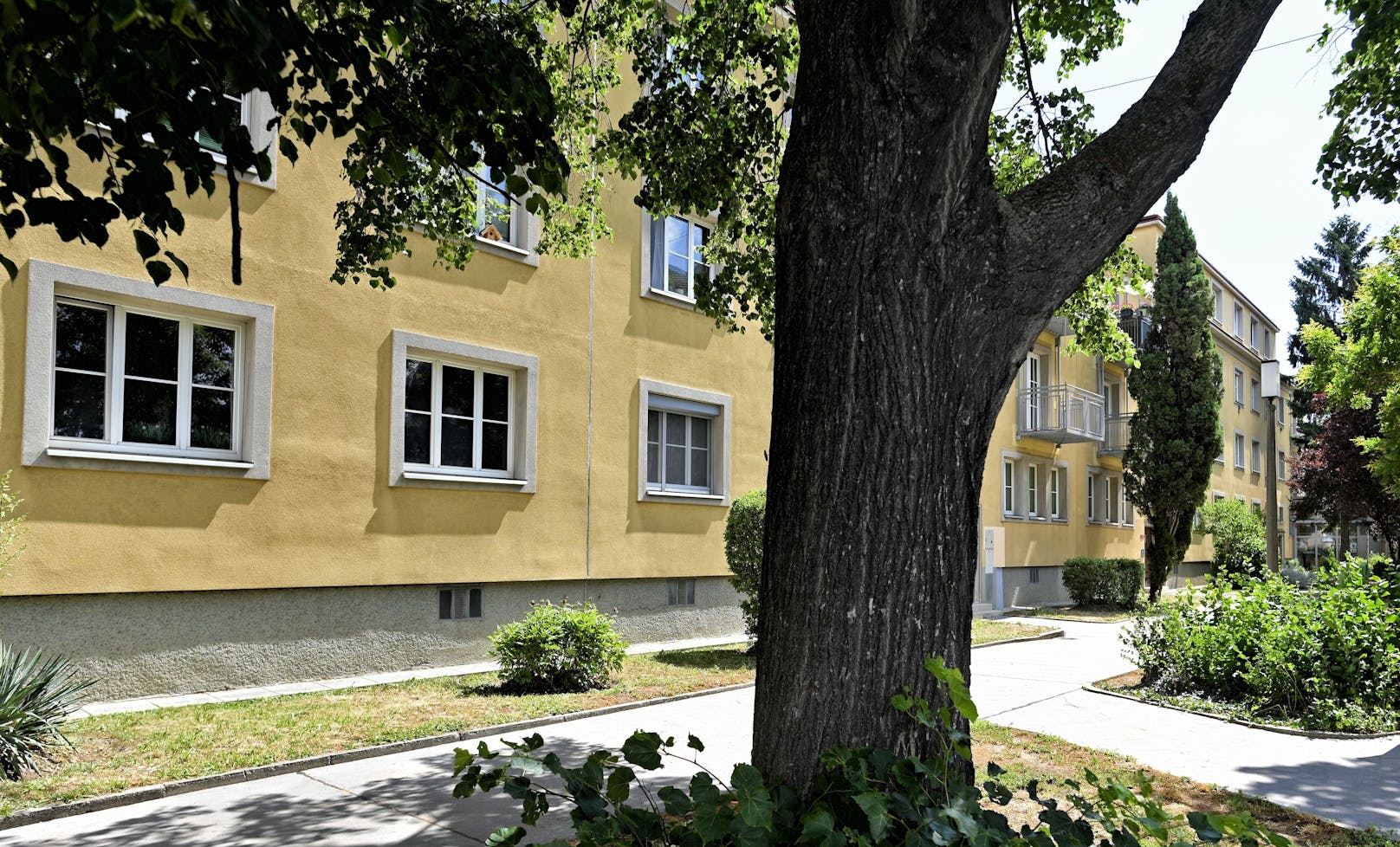 Die Wohnhausanlage in Wien, in der sich die Tatwohnung befindet.