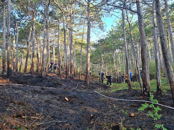 Waldbrand im Bereich der Mariazeller Zwickl