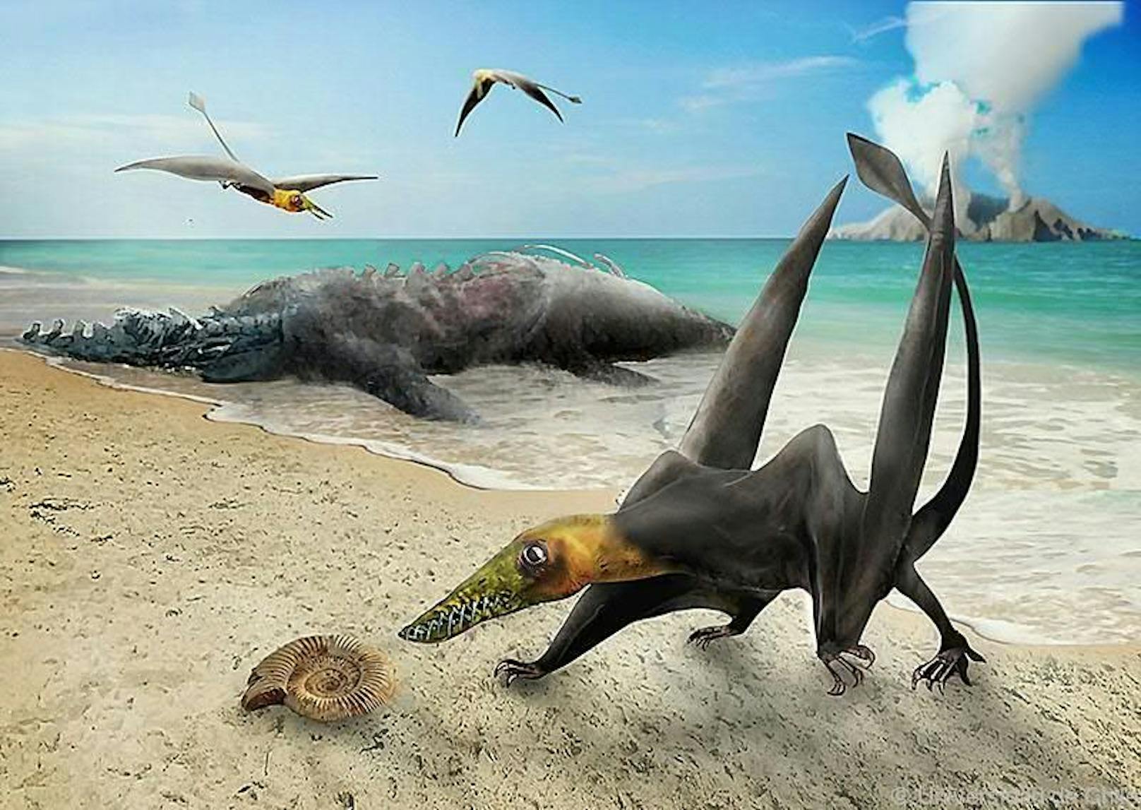 160 Millionen Jahre alter Flugsaurier in Chile gefunden