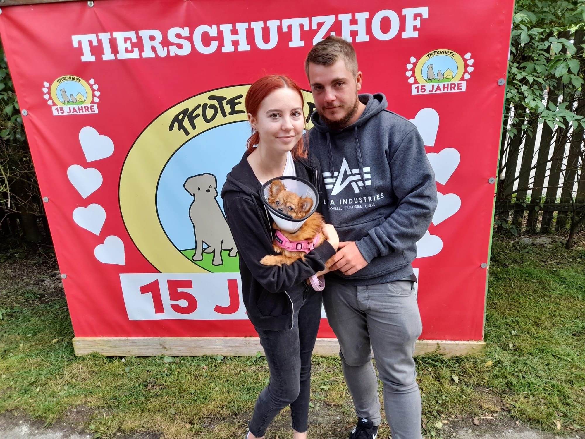 Hund "Fibi" fühlt sich bei seinen neuen Besitzern schon pudelwohl.