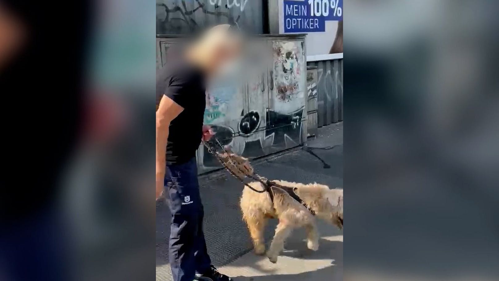 Er schlug mit der Zeitung auf seinen Hund ein.