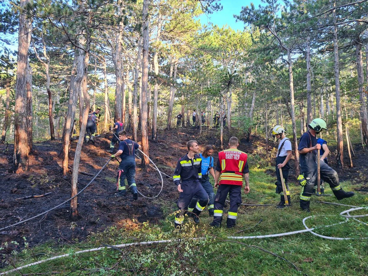 Waldbrand im Bezirk Baden