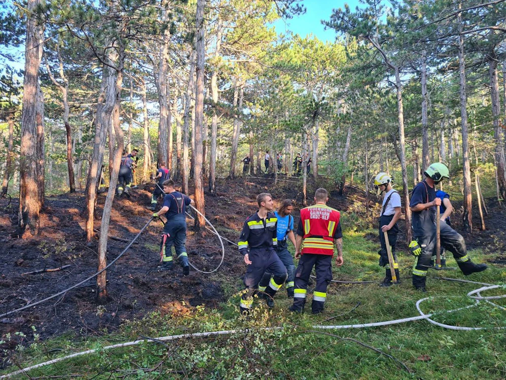 Waldbrand im Bezirk Baden