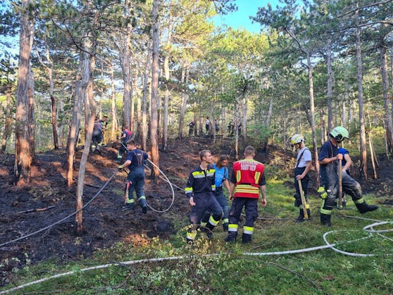 Waldbrand im Bezirk Baden