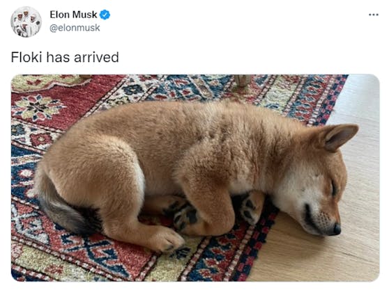 Elon Musk hat dieses Foto auf Twitter gepostet - und einen Krypto-Hype ausgelöst.