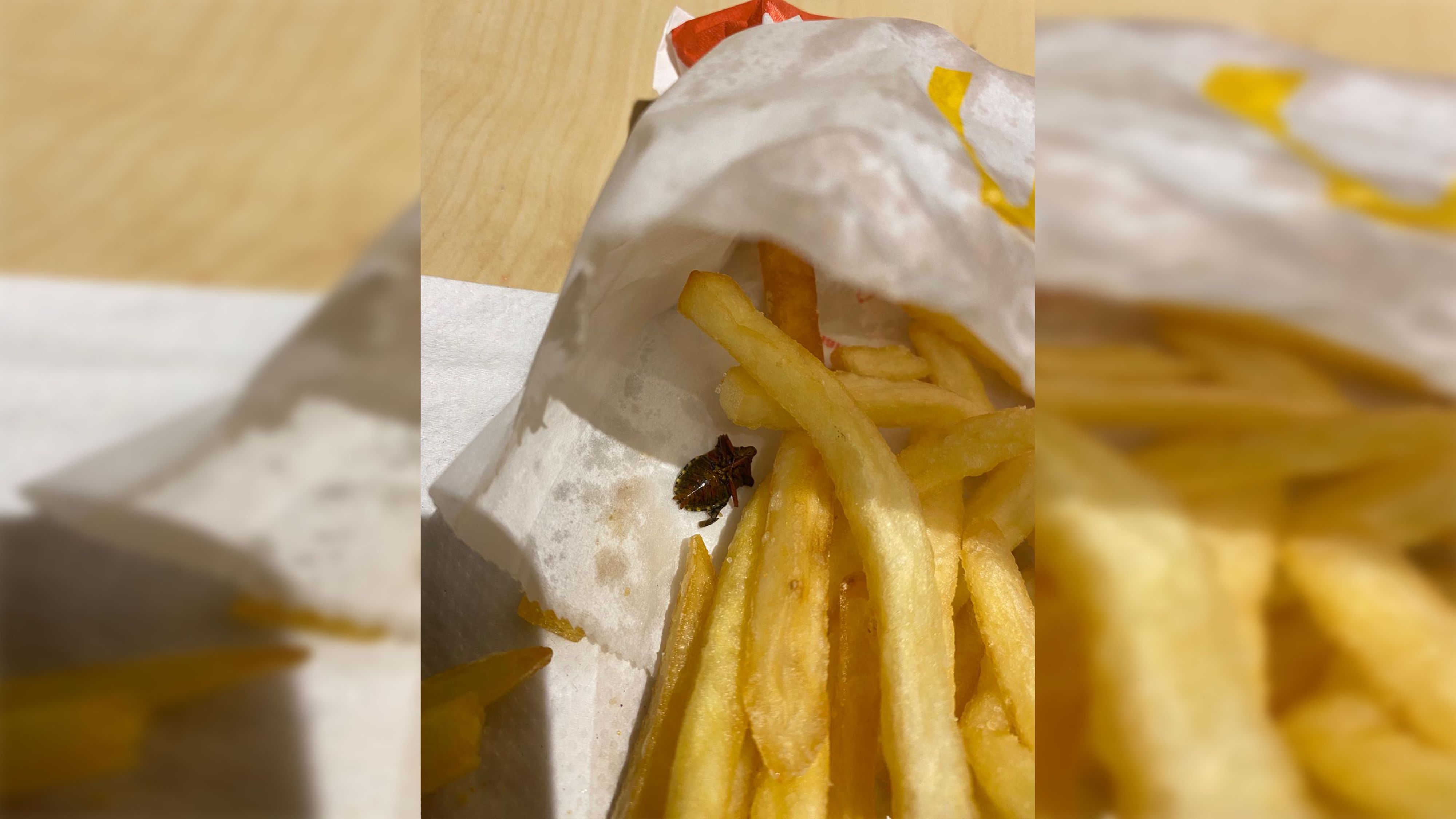 Diesen Ekelfund hatte die Niederösterreicherin nicht erwartet