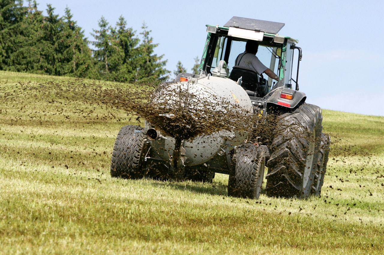 Heute.at - Traktor prallt gegen Bäume – Fahrer tot, Kind verletzt